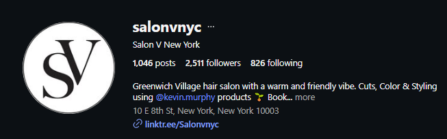 Salon V