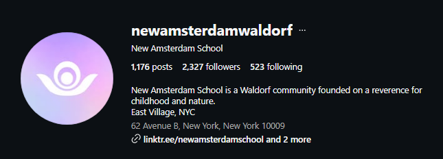 New Amsterdam School